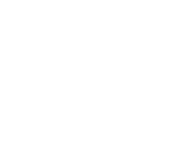 skadhad logo